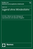 Jugend ohne Mindestlohn (eBook, PDF)