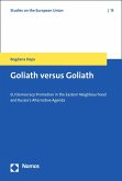 Goliath versus Goliath (eBook, PDF)
