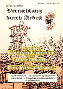 Todesursache - Vernichtung durch Arbeit (eBook, ePUB) - Hahmann, Ernst-Ulrich