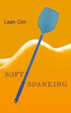 Softspanking (eBook, ePUB)