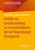 Vorfälle von Gewaltausübung an Schutzbefohlenen bei den Regensburger Domspatzen (eBook, PDF)