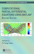 Computational Partial Differential... - Bild 1