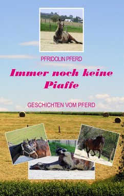 Immer noch keine Piaffe - Pferd, Pfridolin