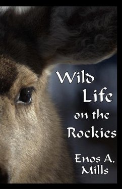 Wild Life on the Rockies - Mills, Enos A.