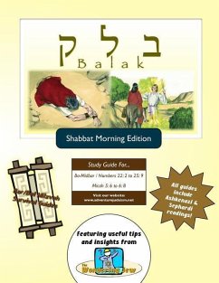 Bar/Bat Mitzvah Survival Guides: Balak (Shabbat am) - Michaelson Majs, Elliott