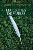 Lecciones de vuelo