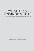 What Is an Environment?: A Study in the New Comparative Interpretation