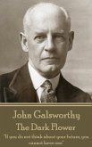 John Galsworthy - The Dark Flower: &quote;If you do not think about your future, you cannot have one&quote;