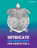 Intricate Coloring Book For Adults Vol 4