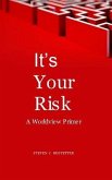 It's Your Risk: A Worldview Primer