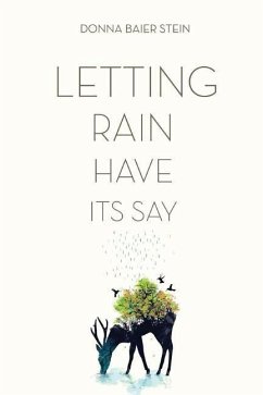 Letting Rain Have Its Say - Baier Stein, Donna