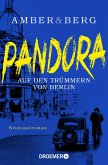 Pandora / Stein und Wuttke Bd.1 (eBook, ePUB)