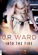 Into the Fire Bd.1 (eBook, ePUB) - Bild 1