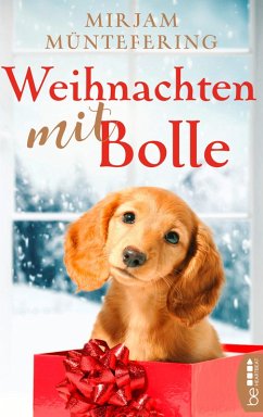 Weihnachten mit Bolle (eBook, ePUB) - Müntefering, Mirjam