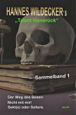 Sammelband "Tatort Hunsrück" Teil 1 (eBook, ePUB)