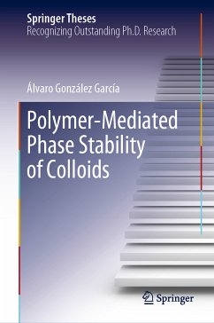 Polymer-Mediated Phase Stability of Colloids (eBook, PDF) - González García, Álvaro