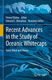 Recent Advances in the Study of Oceanic Whitecaps