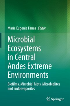 Microbial Ecosystems in Central Andes Extreme Environments