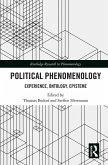 Political Phenomenology (eBook, PDF)