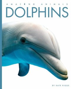 Dolphins - Riggs, Kate