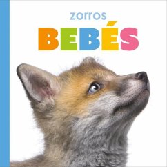 Zorros Bebés - Riggs, Kate