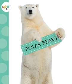 Polar Bears - Suen, Anastasia