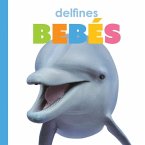 Delfínes Bebés