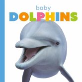 Baby Dolphins