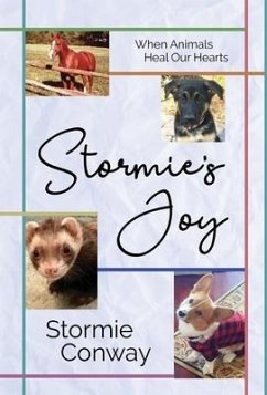 Cover Stormie's Joy