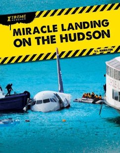 Miracle Landing on the Hudson - Hamilton, John