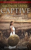 Solomom Stone: Captive (The Journey Home Series, #1) (eBook, ePUB)