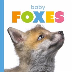Baby Foxes - Riggs, Kate