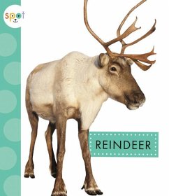 Reindeer - Suen, Anastasia