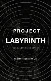 Project Labyrinth: A Social Engineering Story (eBook, ePUB)