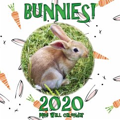 Bunnies! 2020 Mini Wall Calendar - Sea Wall