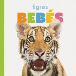 Tigres Bebés - Riggs, Kate