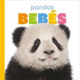 Pandas Bebés