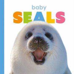 Baby Seals - Riggs, Kate
