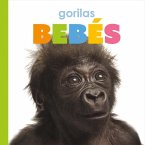 Gorilas Bebés