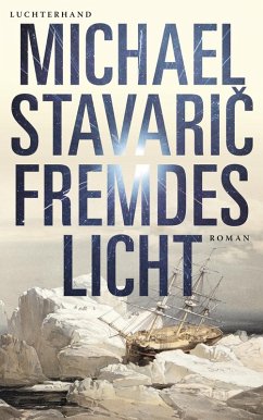 Fremdes Licht (eBook, ePUB) - Stavaric, Michael