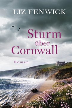 Sturm über Cornwall (eBook, ePUB) - Fenwick, Liz
