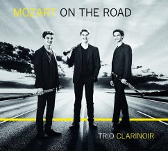 Mozart On The Road - Trio Clarinoir