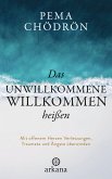 Das Unwillkommene willkommen heißen (eBook, ePUB)