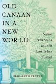 Old Canaan in a New World (eBook, ePUB)