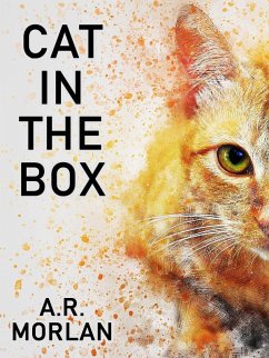 Cat in the Box (eBook, ePUB) - Morlan, A. R.