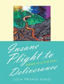 Insane Plight to Deliverance: Based On a True Story (eBook, ePUB)