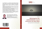 Métallogénie des minéralisations à or et antimoine du Haut Atlas