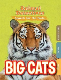 Big Cats - O'Daly, Anne