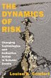 The Dynamics of Risk (eBook, ePUB) - Bild 1