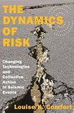 The Dynamics of Risk (eBook, ePUB)